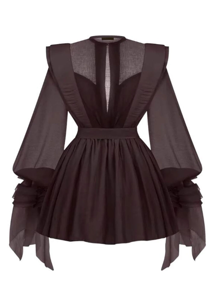 Dark brown dress with sheer sleeves and back on a white background